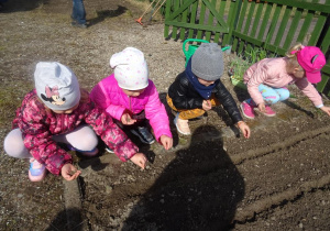Dzieci sieją nasiona na grządkach.